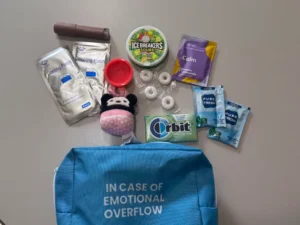 Example of Gen Z Anxiety Bags