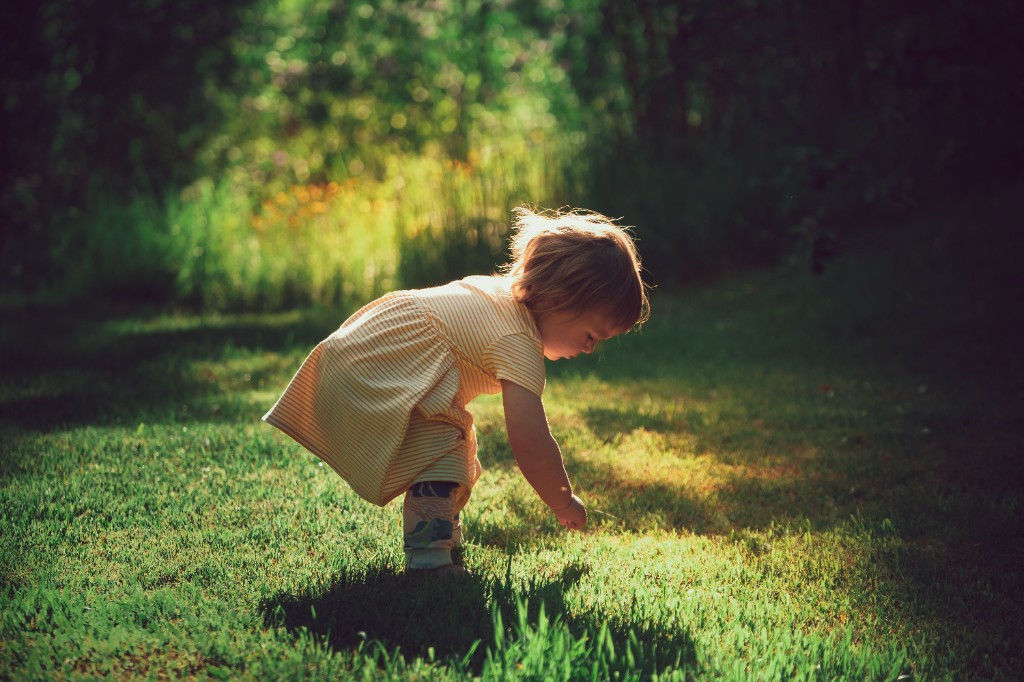 Young child exploring grass in warm sunlight